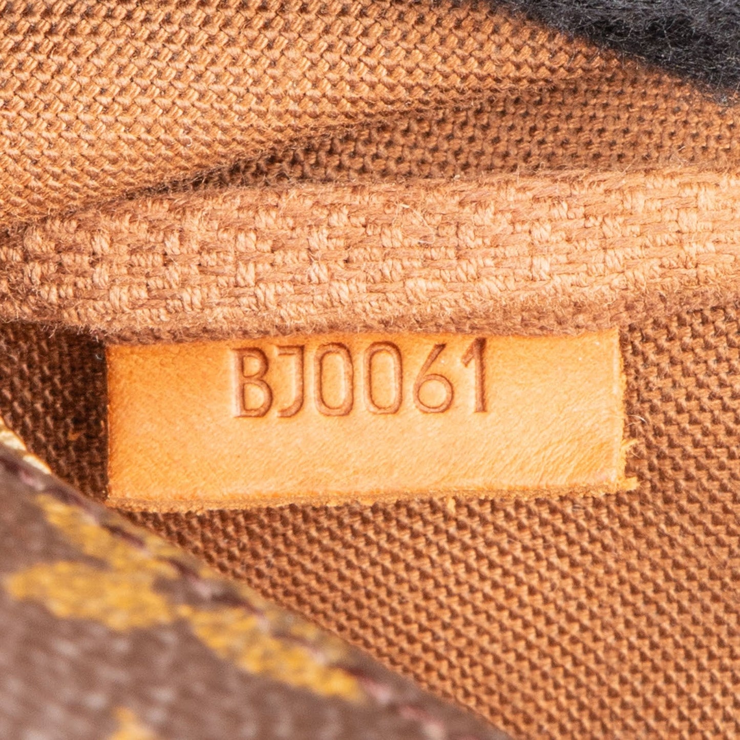 Louis Vuitton Monogram Canvas Pochette Accessoires Handbag