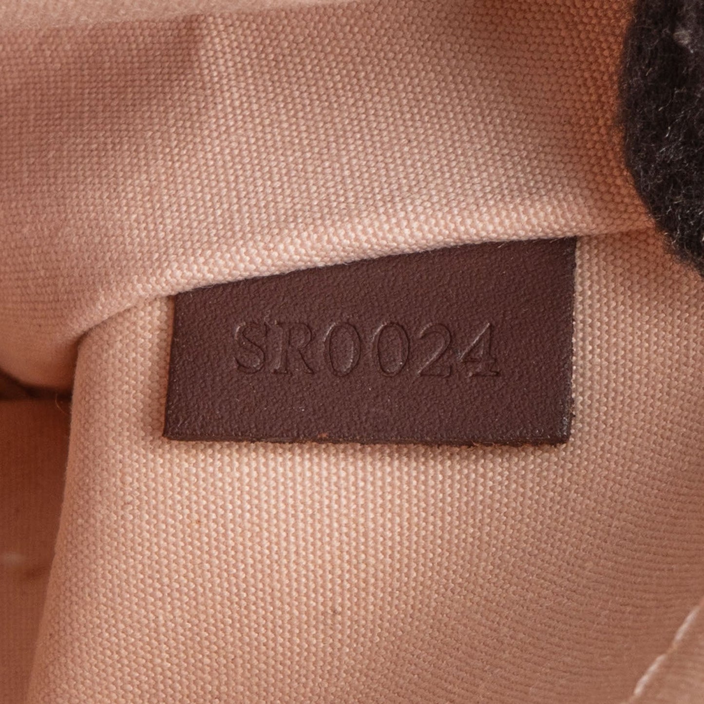 Louis Vuitton Monogram Mini Lin Lucille PM Handbag