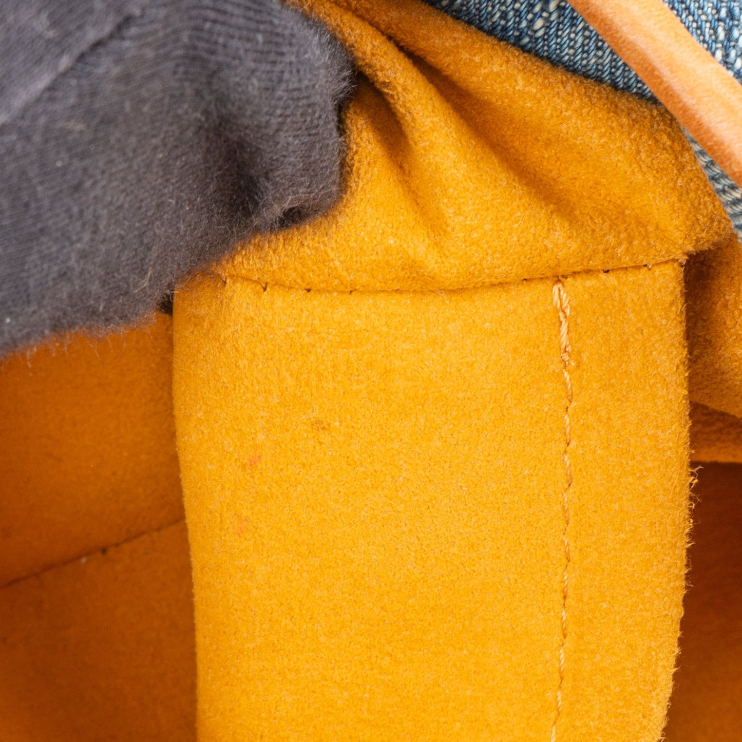 Louis Vuitton Denim Monogram Pleaty Handbag