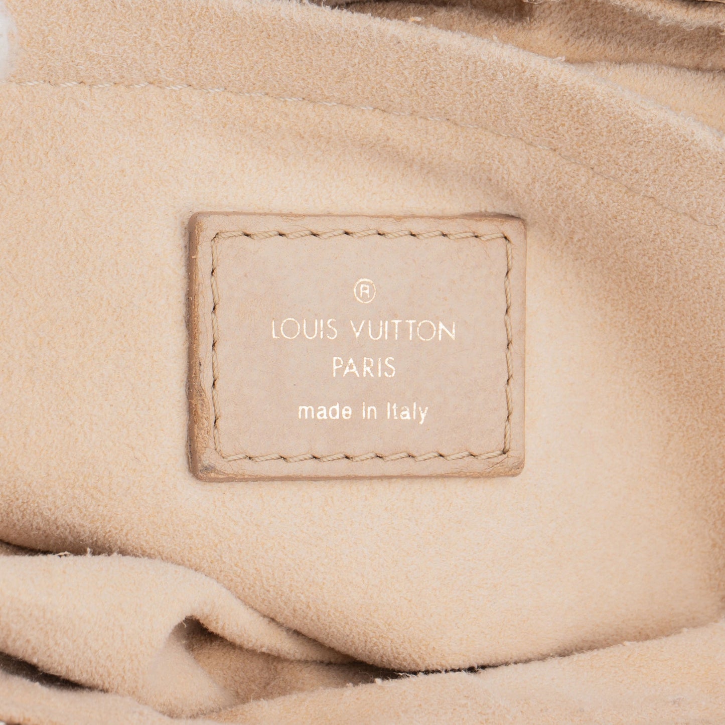 Louis Vuitton Leather Monogram Olymp Nimbus Hobo Bag