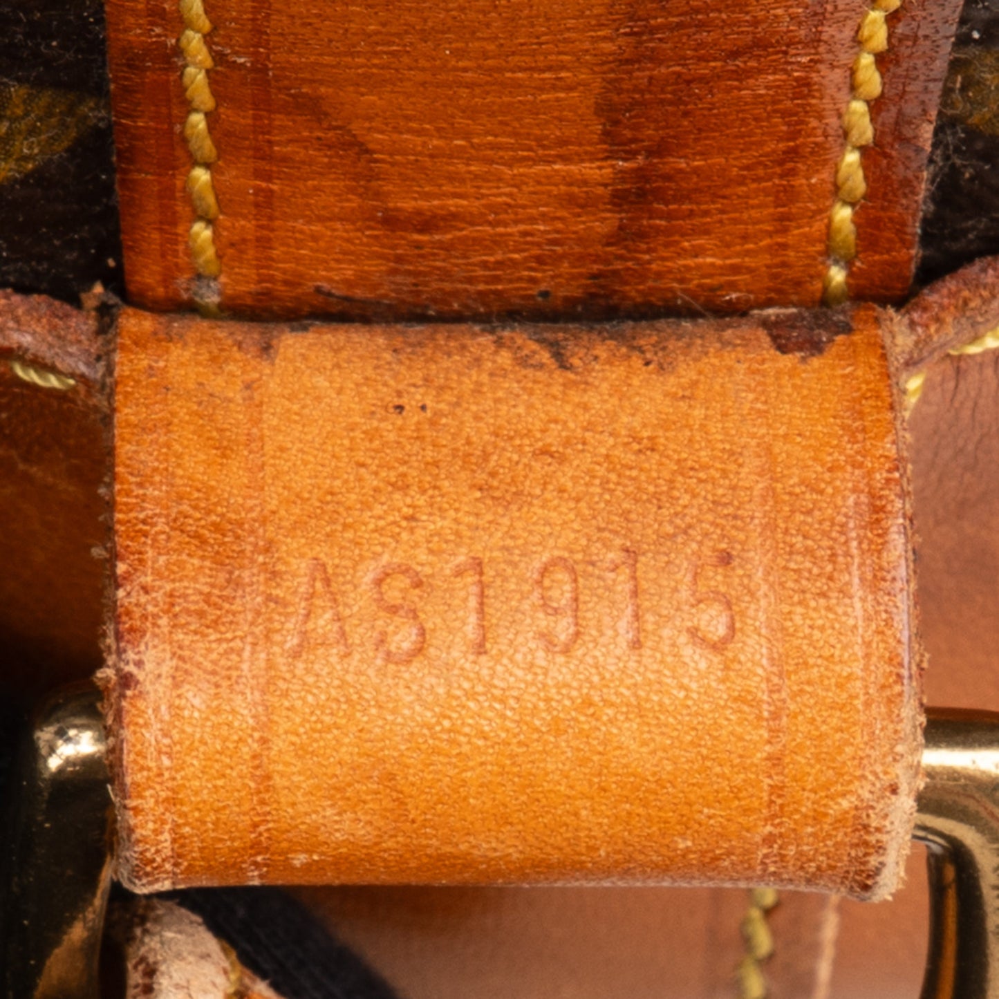 Louis Vuitton Canvas Monogram Randonnee PM Backpack