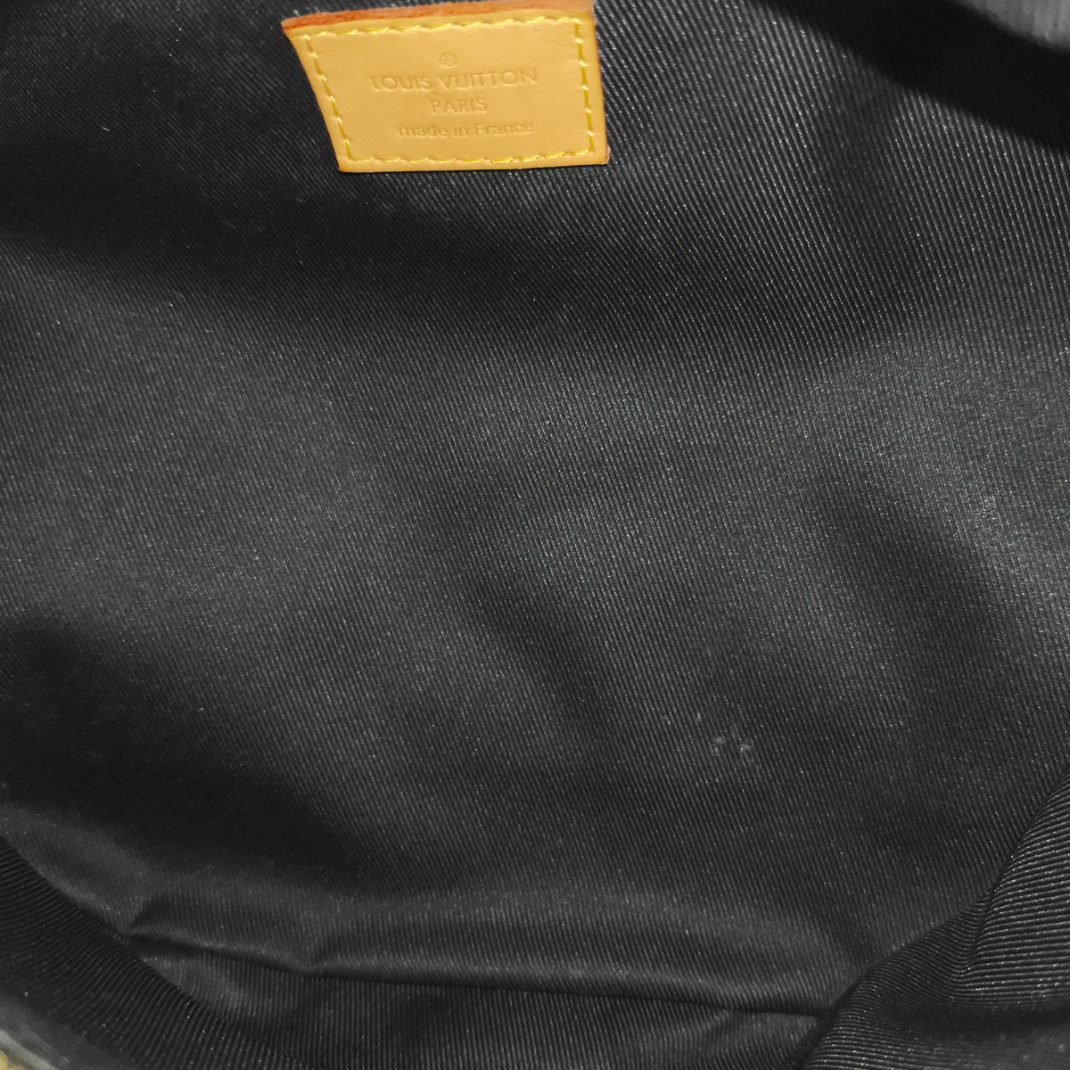 Louis Vuitton Monogram Canvas Bumbag Crossbody Bag