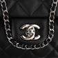 Chanel Quilted Lambskin Palladium Single Flap Shoulder Bag