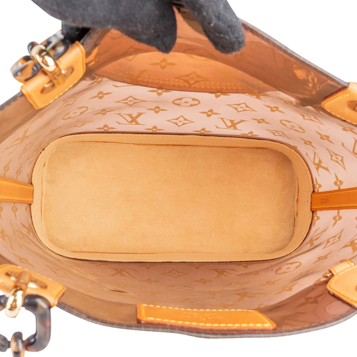 Louis Vuitton Monogram Vinyl Ambre PM Handbag