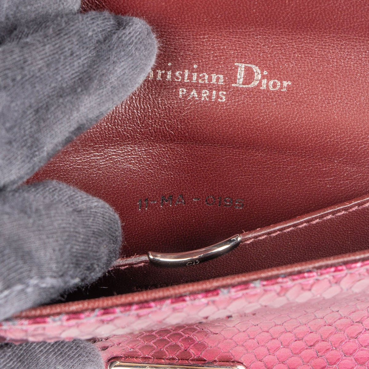 Dior Metallic Python Mini Diorama Crossbody Bag