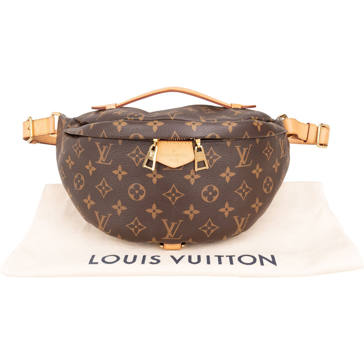 Louis Vuitton Monogram Canvas Bumbag Crossbody Bag
