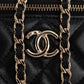 Chanel Quilted Lambskin Vanity Case Crossbody Bag