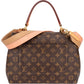 Louis Vuitton Monogram Canvas Cluny MM Handbag