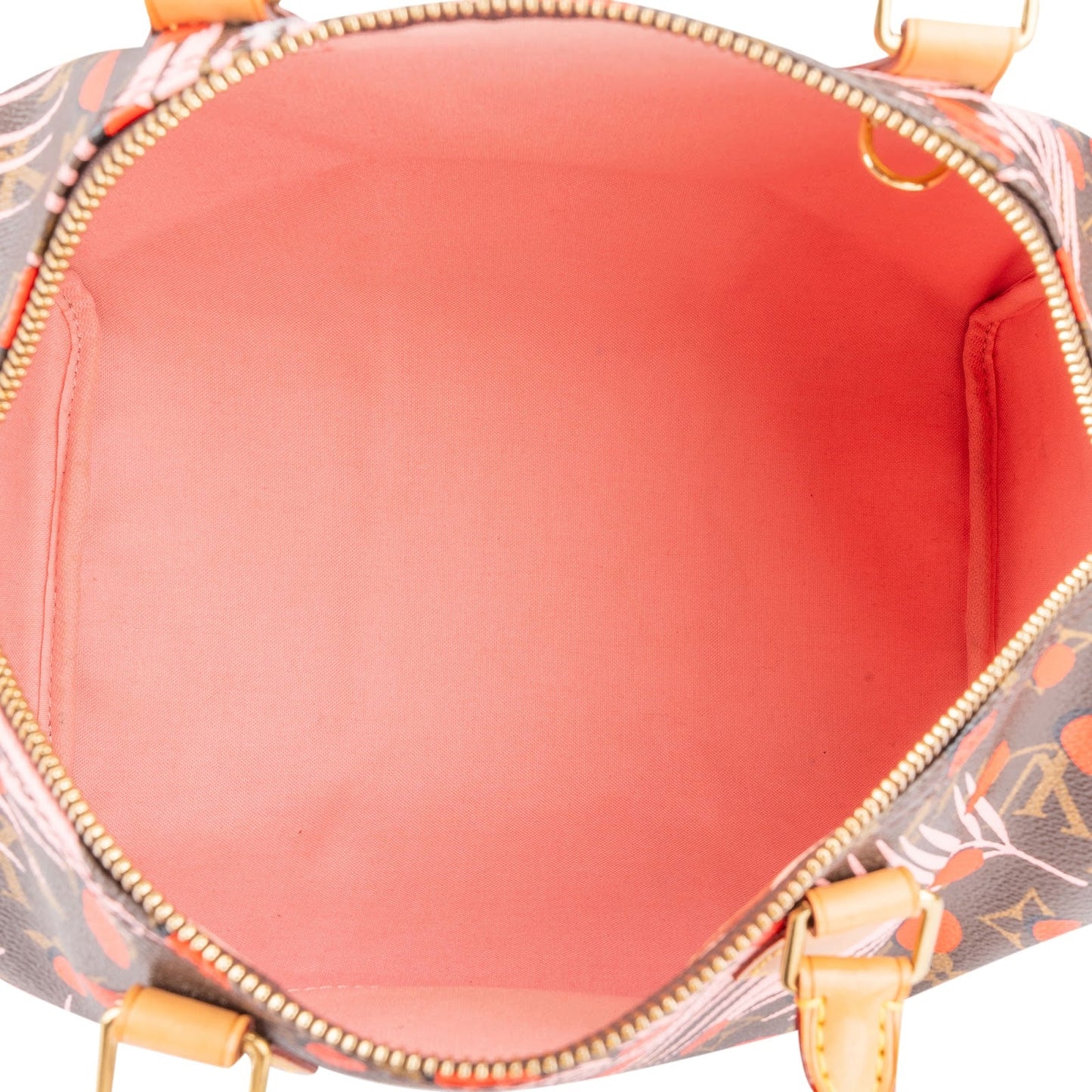 Louis Vuitton Limited Jungle Dots Monogram Speedy 30 Handbag