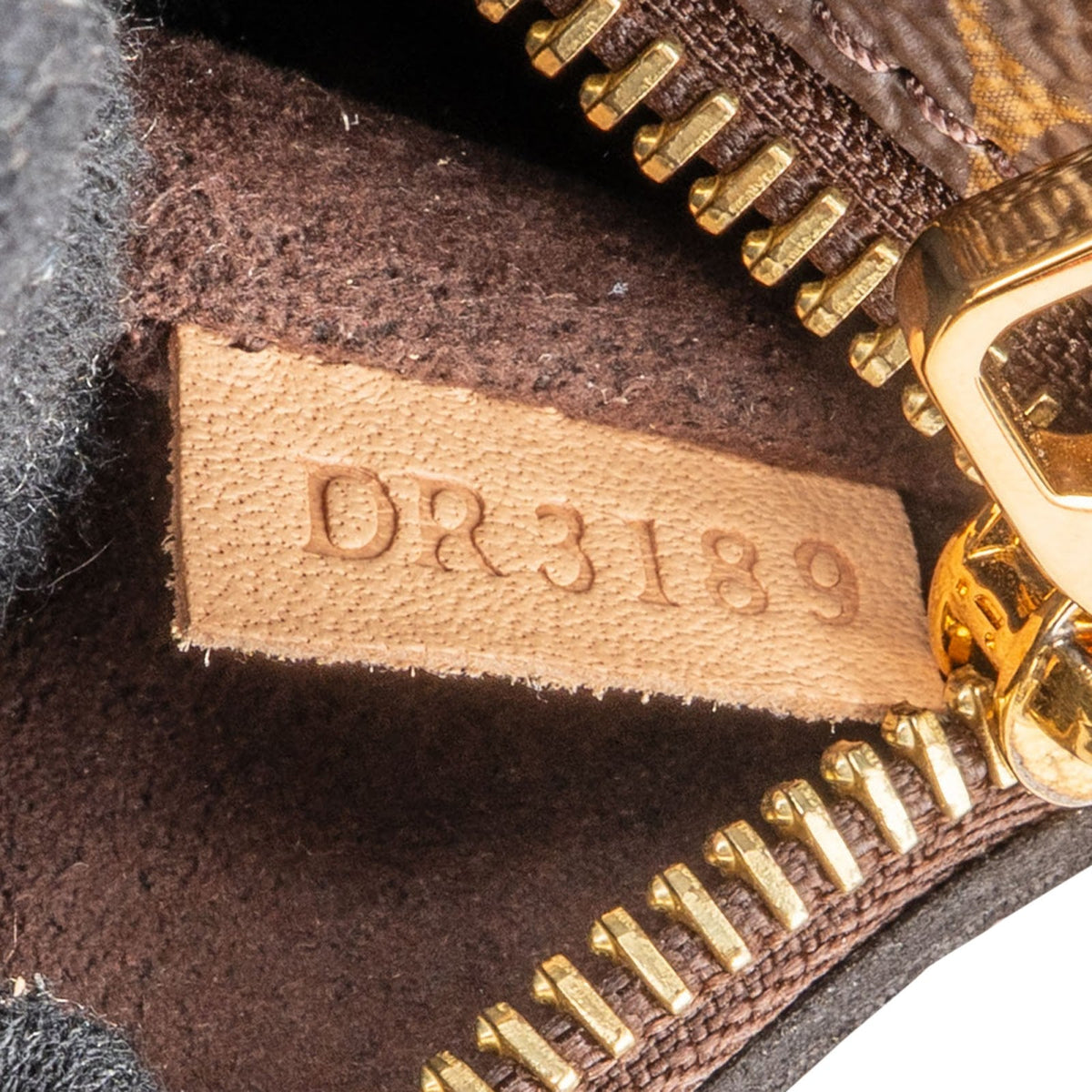 Louis Vuitton Monogram Canvas Métis Handbag