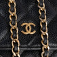 Chanel Quilted Caviar Leather Wallet On Chain Crossbody Bag