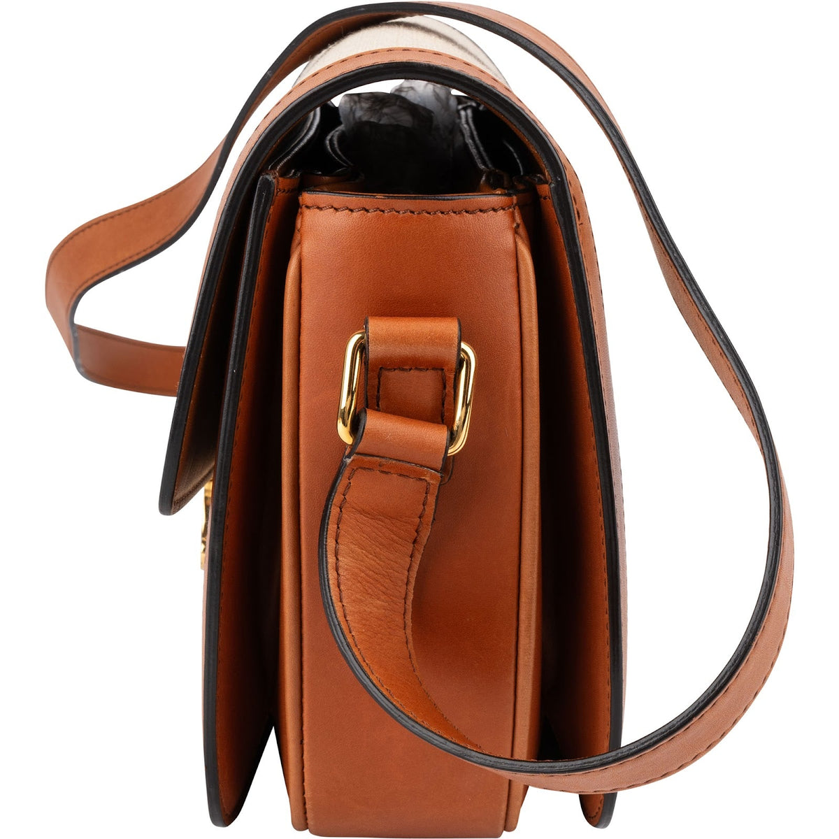 Celine Canvas & Calfskin Teen Triomphe Crossbody Bag
