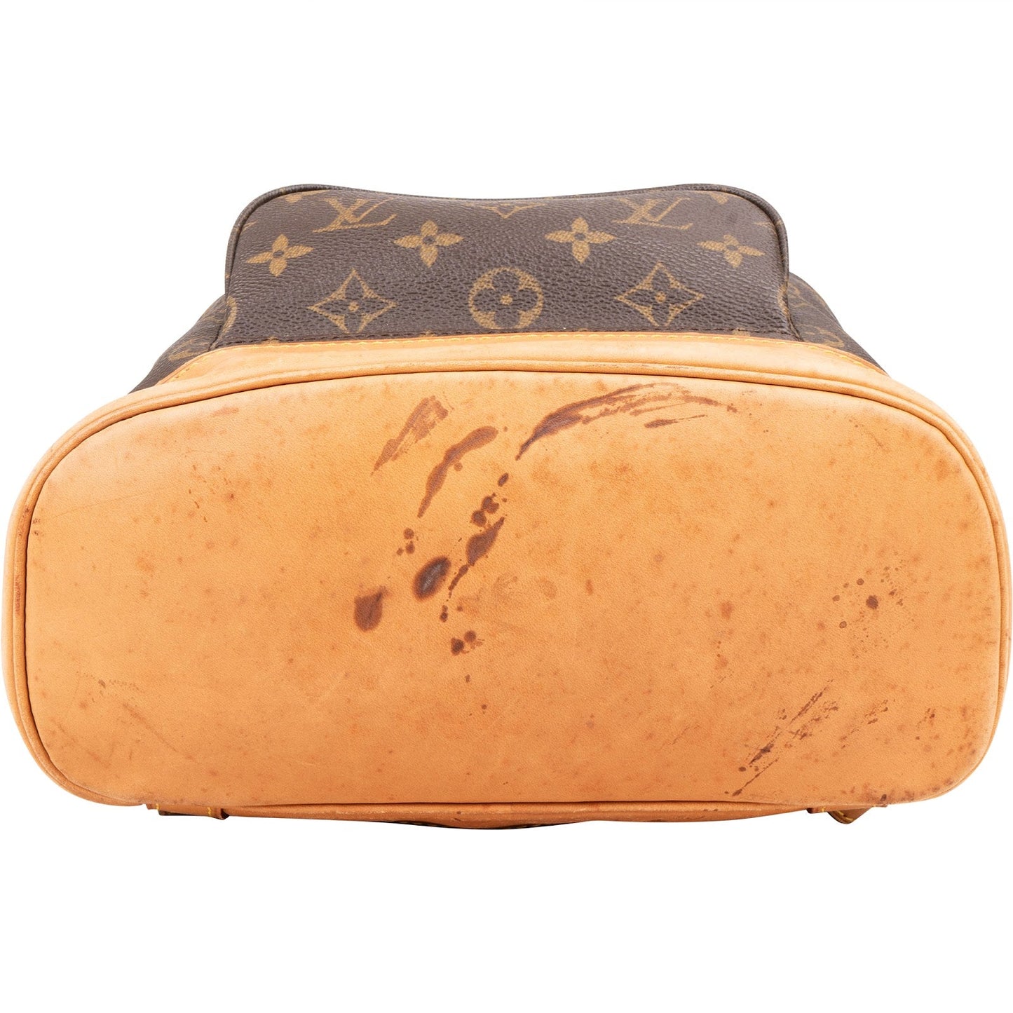 Louis Vuitton Monogram Canvas Montsouris MM Backpack
