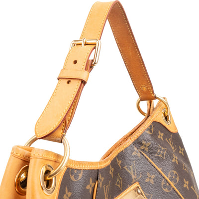 Louis Vuitton Monogram Canvas Delightful PM Shoulder Bag