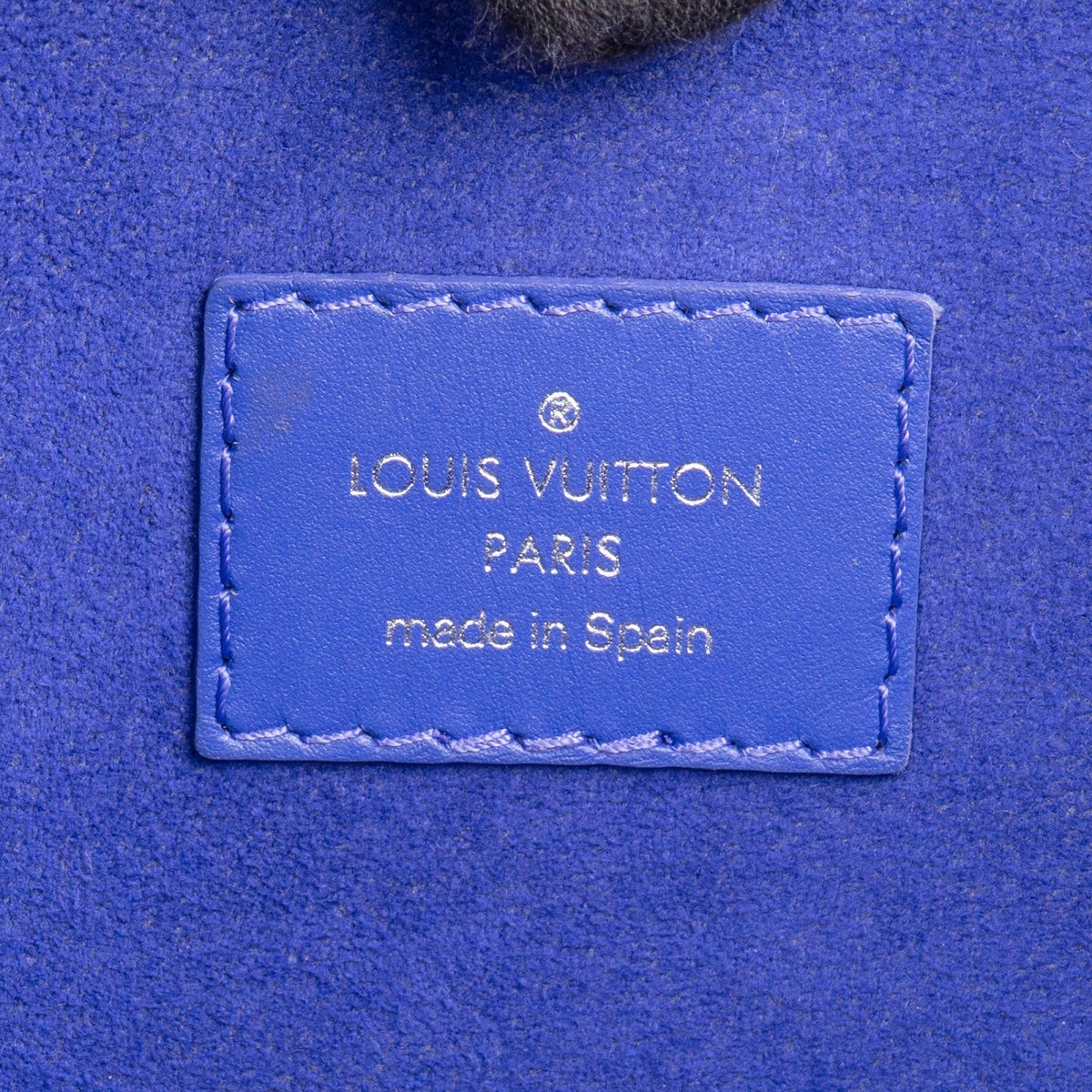 Louis Vuitton Figue Epi Leather Neverfull MM Shoulder Bag