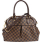 Louis Vuitton Monogram Damier Ebene Trevi PM Handbag