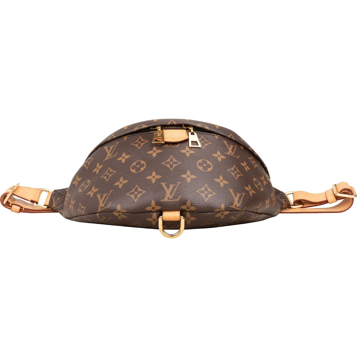 Louis Vuitton Monogram Canvas Bumbag Crossbody Bag