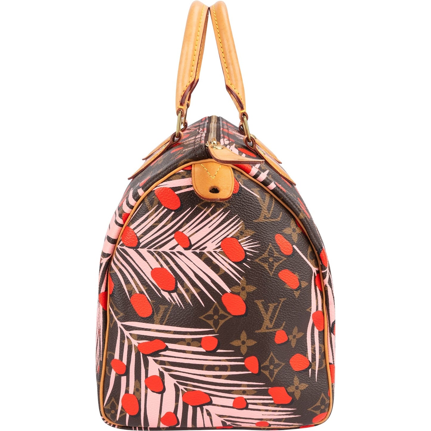 Louis Vuitton Limited Jungle Dots Monogram Speedy 30 Handbag