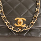Chanel Quilted Lambskin 24K Gold Diana Single Flap Crossbody Bag