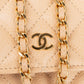 Chanel Quilted Caviar Leather Wallet On Chain Crossbody Bag