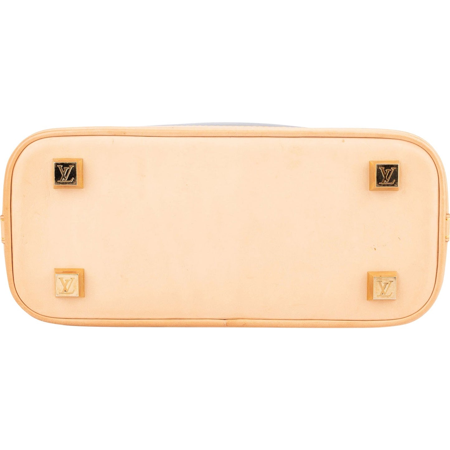 Louis Vuitton Monogram Vinyl Ambre PM Handbag