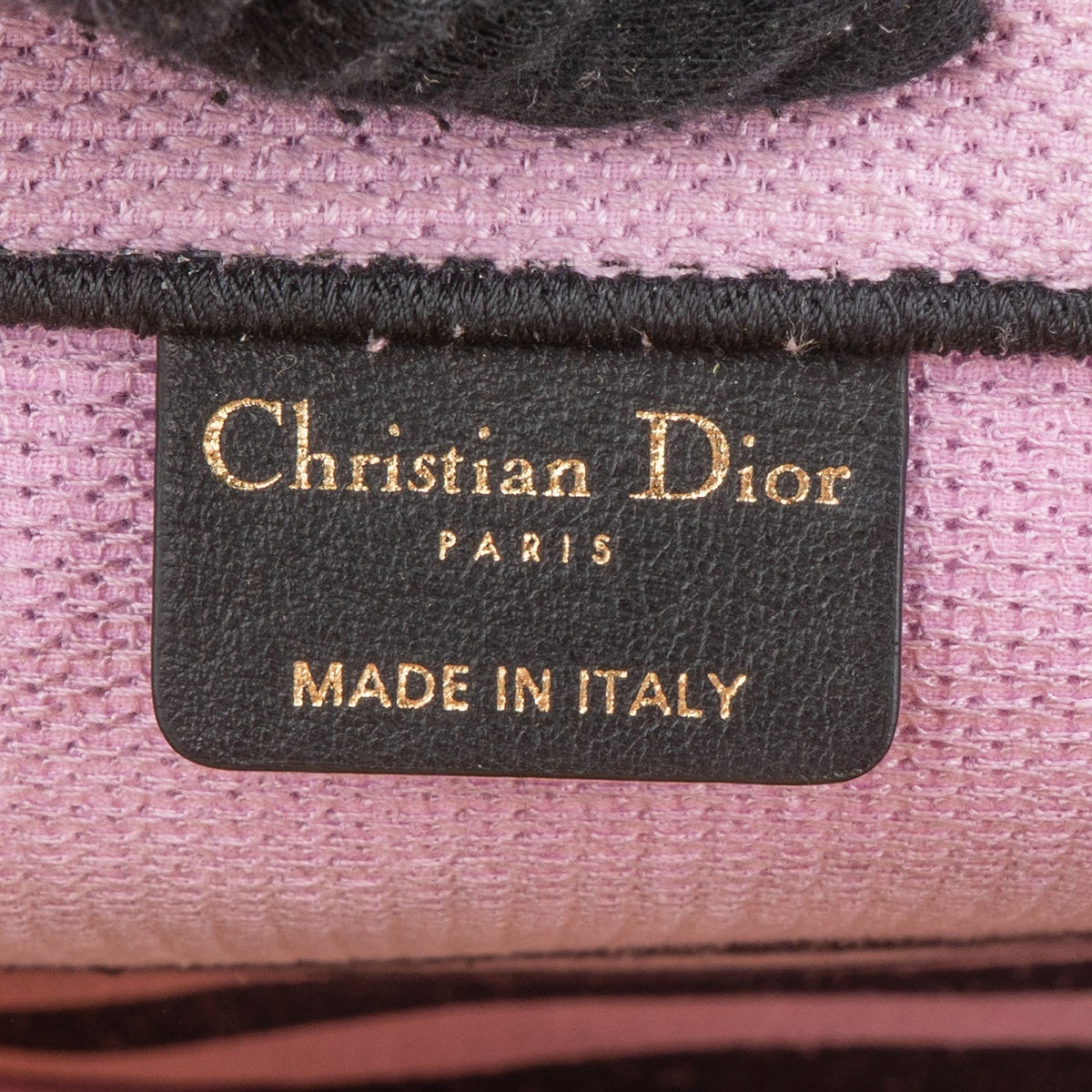 Christian Dior Embroidered Canvas D-Jungle Pop Book Tote Handbag