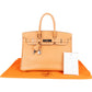 Hermès Fjord Leather Birkin 35 Handbag Beige Brown Palladium Hardware