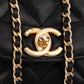 Chanel Quilted Lambskin Diana New Collection Single Flap Crossbody Bag