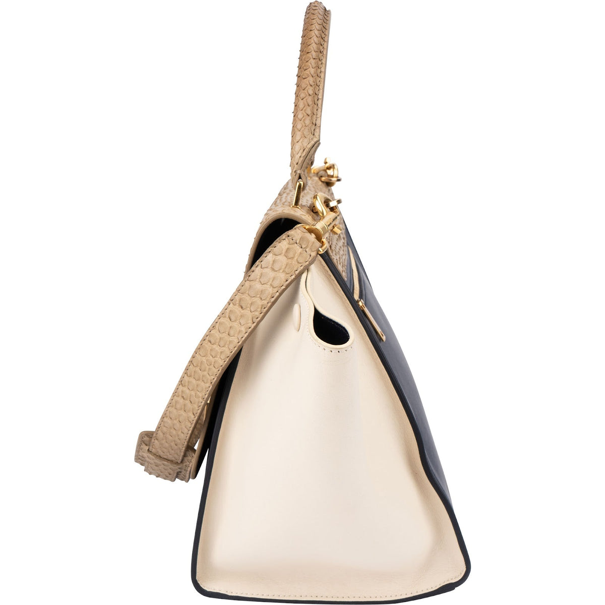 Céline Python Leather Tricolor Trapeze Handbag