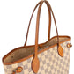 Louis Vuitton Monogram Damier Azur Canvas Neverfull PM Shoulder Bag