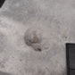 Gucci Velvet Jackie Shoulder Bag