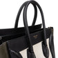 Céline Tricolor Leather Luggage Handbag