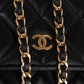 Chanel Quilted Lambskin CC Wallet On Chain Crossbody Bag