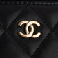 Chanel Quilted Lambskin Mini Vanity Chain Crossbody Bag
