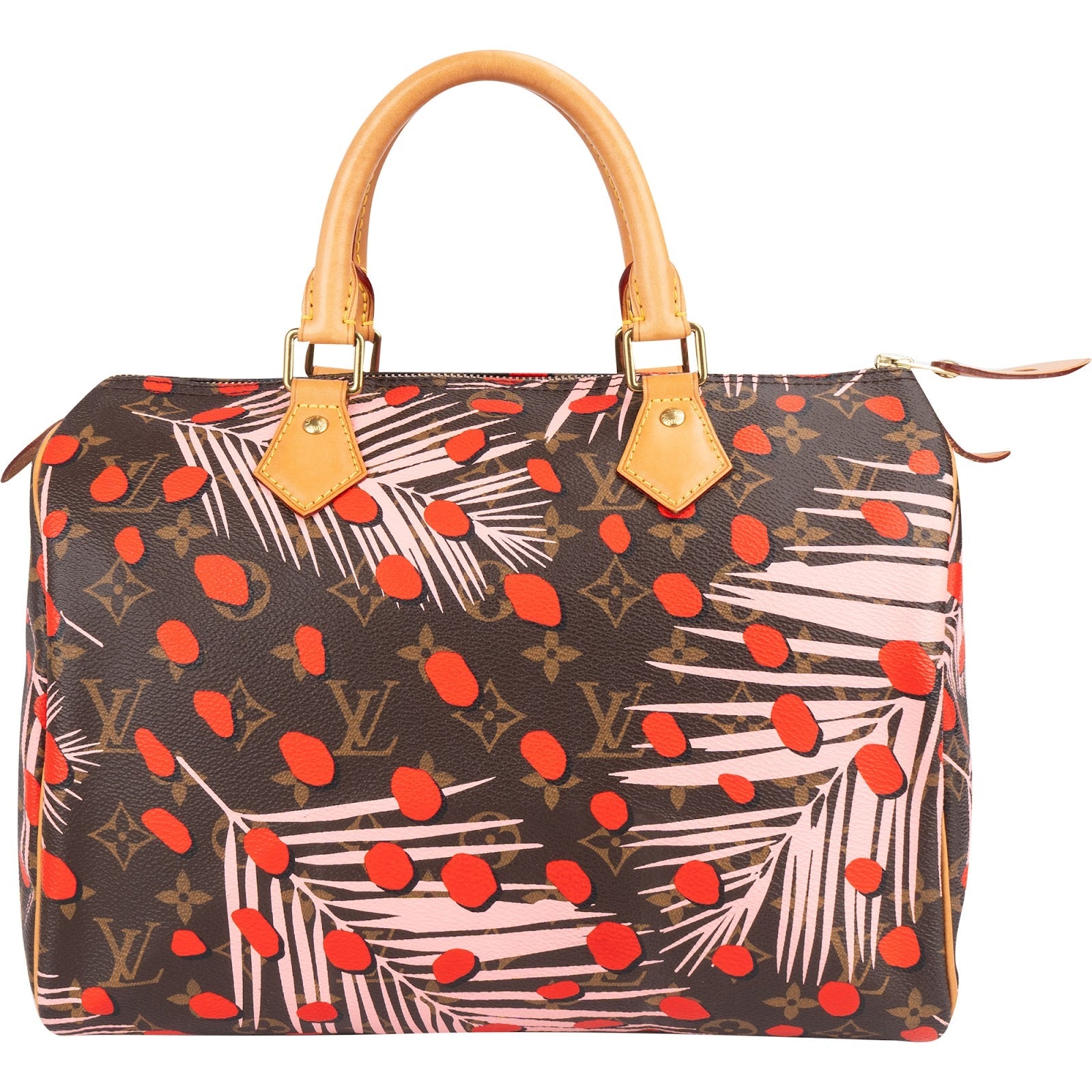Louis Vuitton Limited Jungle Dots Monogram Speedy 30 Handbag