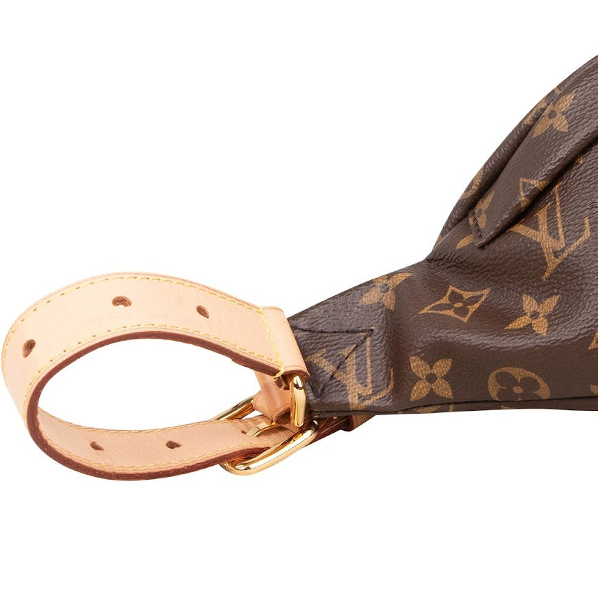 Louis Vuitton Monogram Canvas Bumbag Crossbody Bag