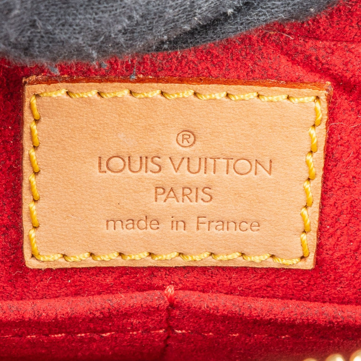 Louis Vuitton Monogram Canvas Viva Cite PM Shoulder Bag