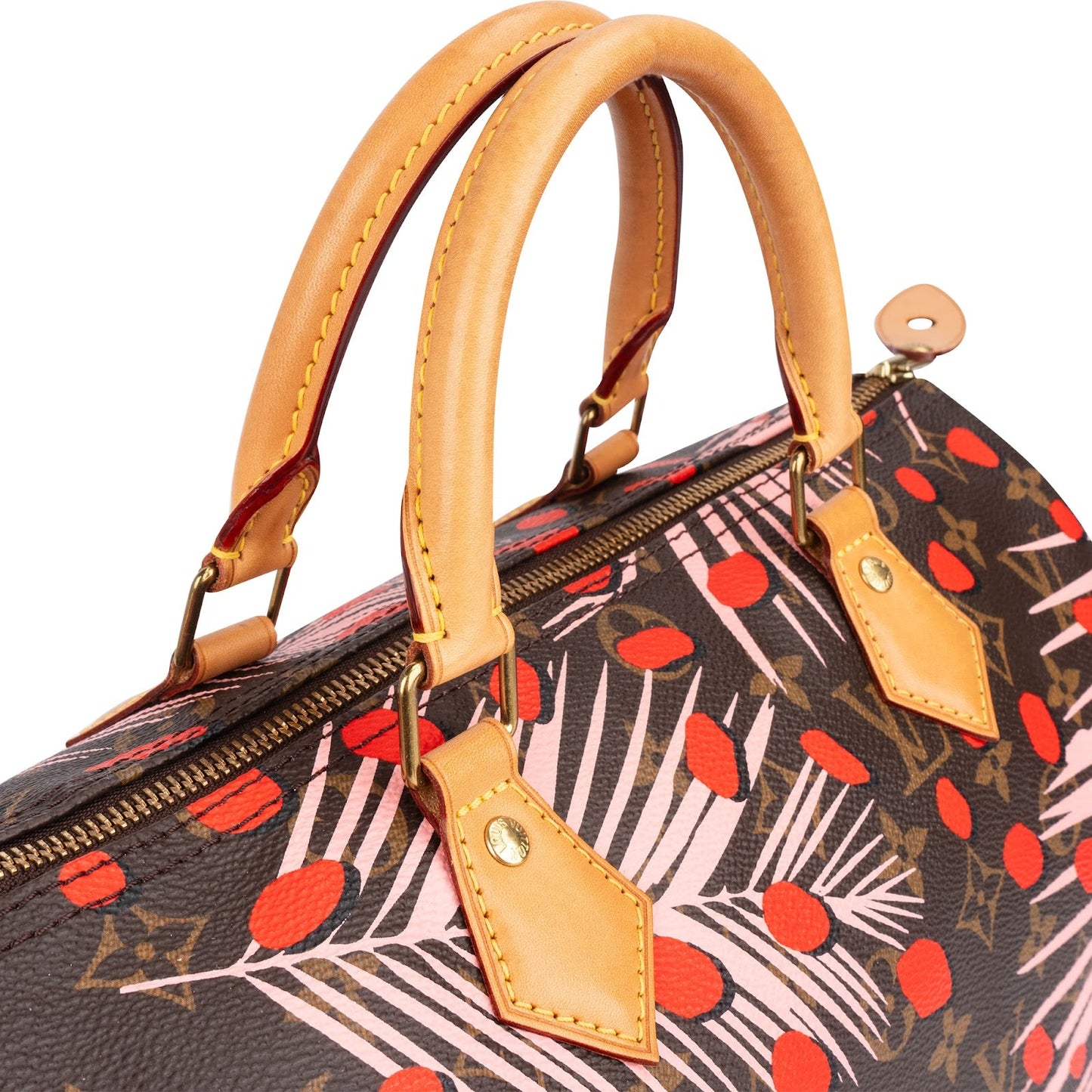 Louis Vuitton Limited Jungle Dots Monogram Speedy 30 Handbag