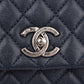 Chanel Quilted Caviar Leather Lizard Coco Handle Flap Handbag