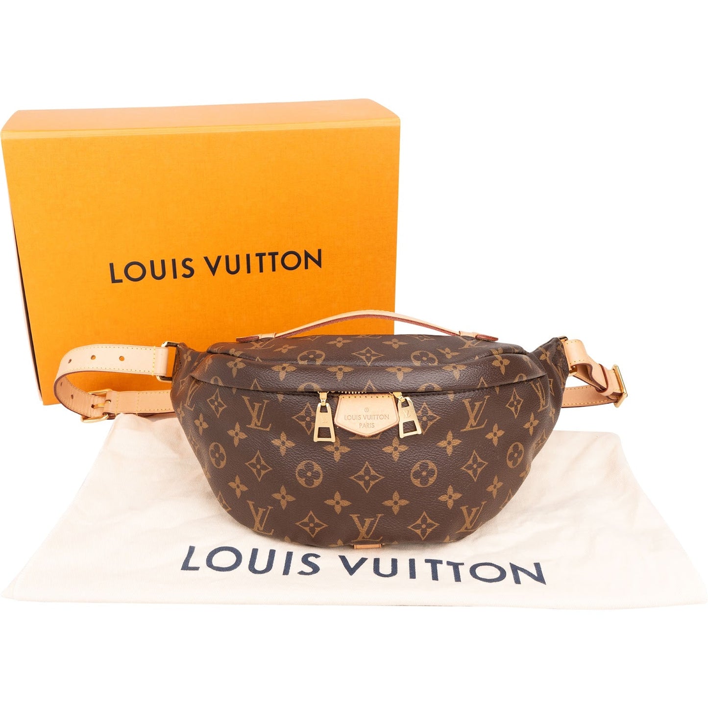 Louis Vuitton Monogram Canvas Bumbag Crossbody Bag