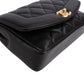 Chanel Quilted Lambskin Diana New Collection Single Flap Crossbody Bag