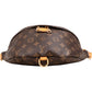 Louis Vuitton Monogram Canvas Bumbag Crossbody Bag