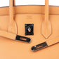 Hermès Fjord Leather Birkin 35 Handbag Beige Brown Palladium Hardware