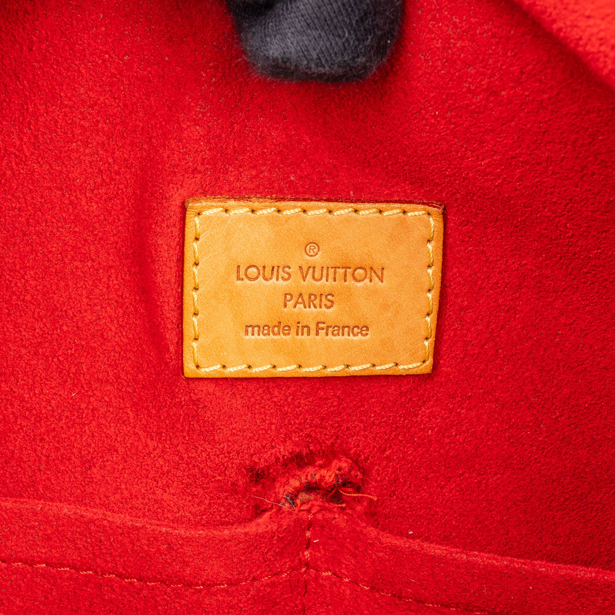 Louis Vuitton Canvas Monogram Gaia Handbag