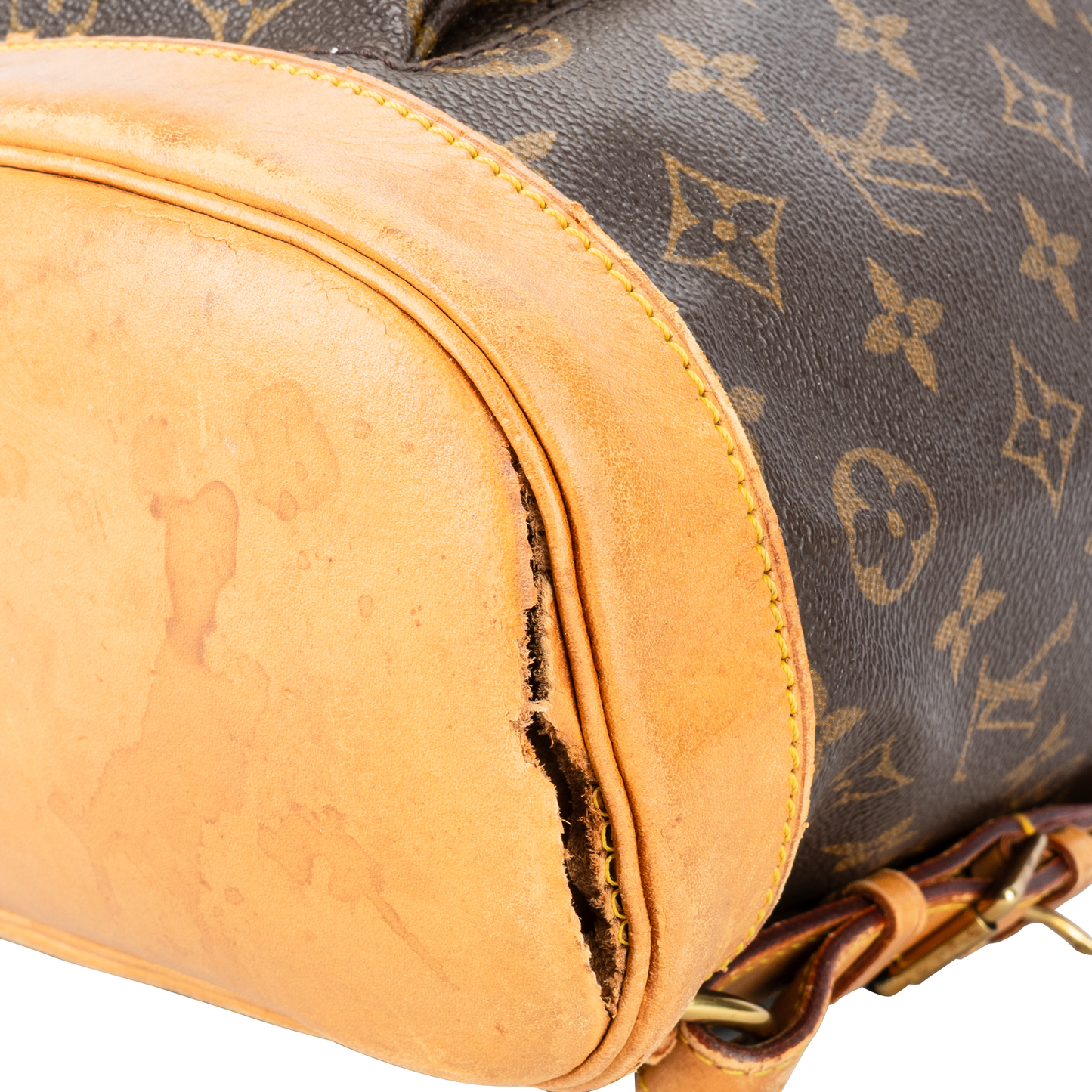 Louis Vuitton Monogram Canvas Montsouris MM Backpack