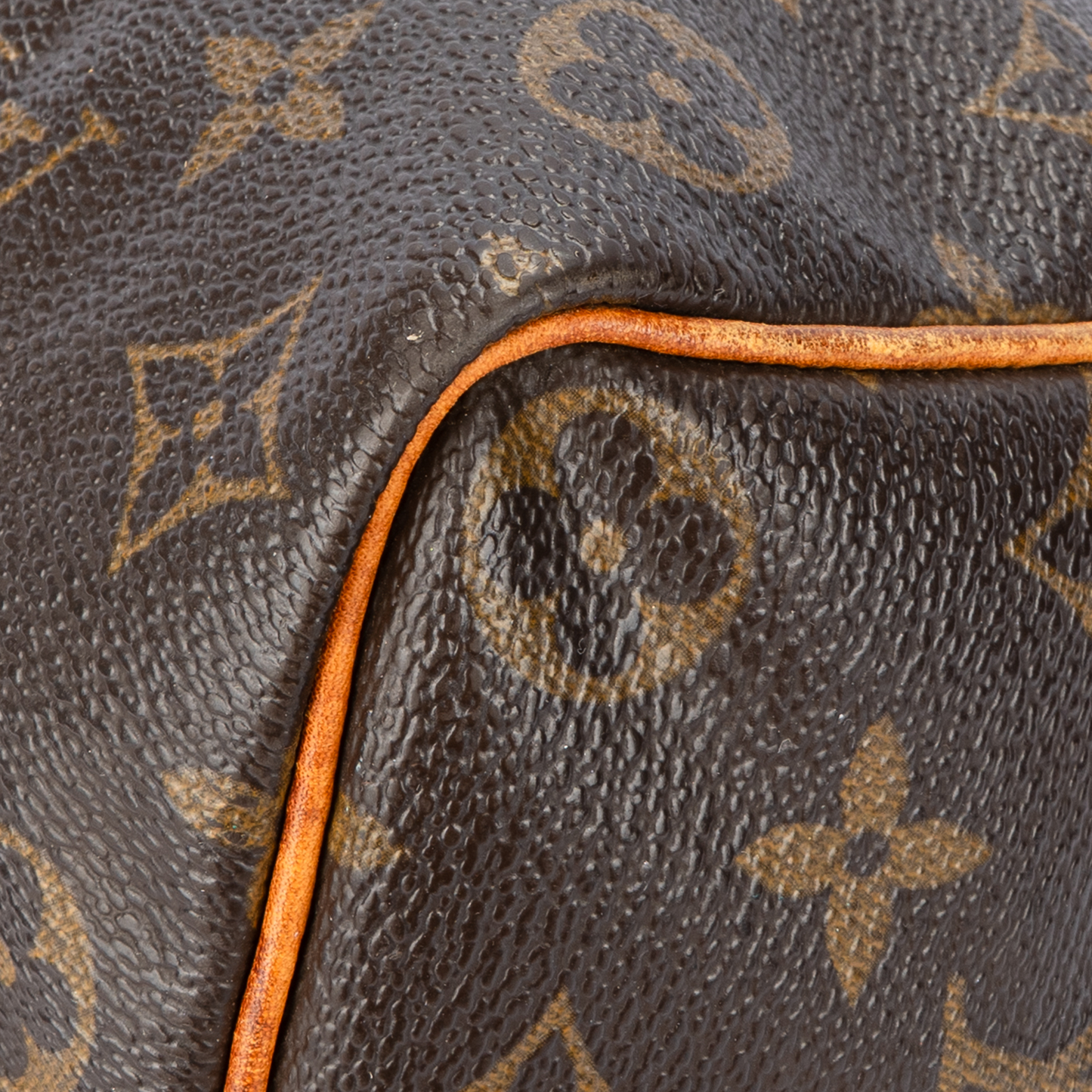 Louis Vuitton Canvas Monogramm Speedy 35