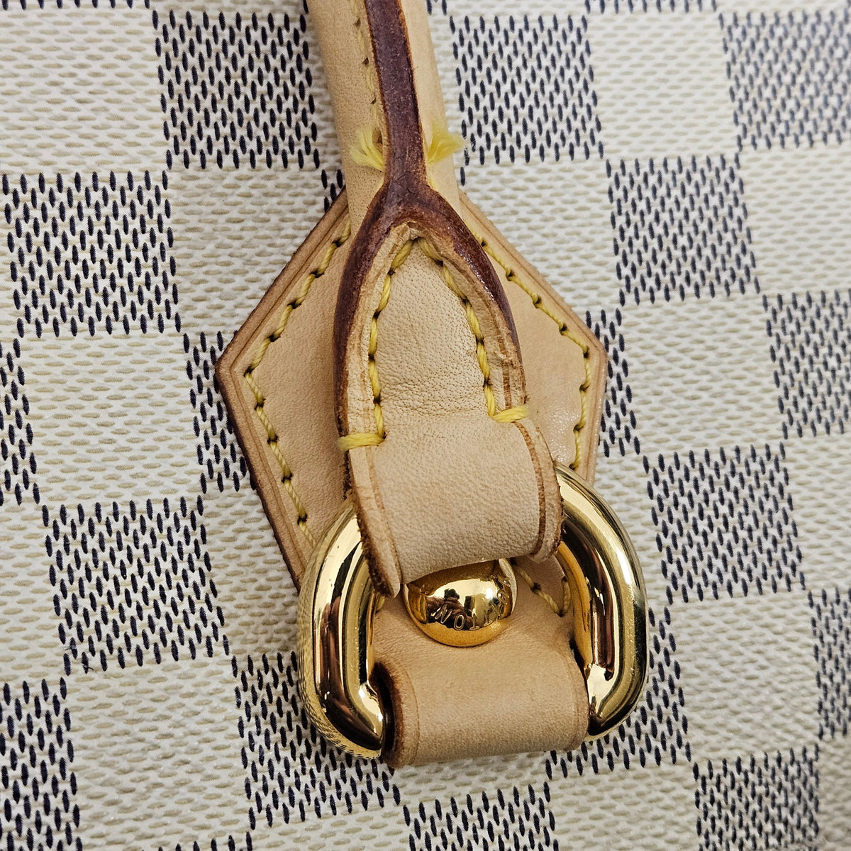 Louis Vuitton Monogram Damier Azur Saleya GM Handbag
